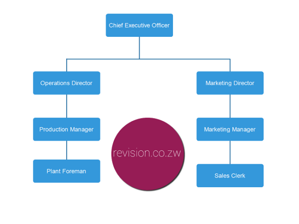 tall-and-flat-organisational-structures-free-zimsec-revision-notes