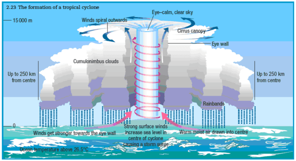 Tropical Cyclone Diagram