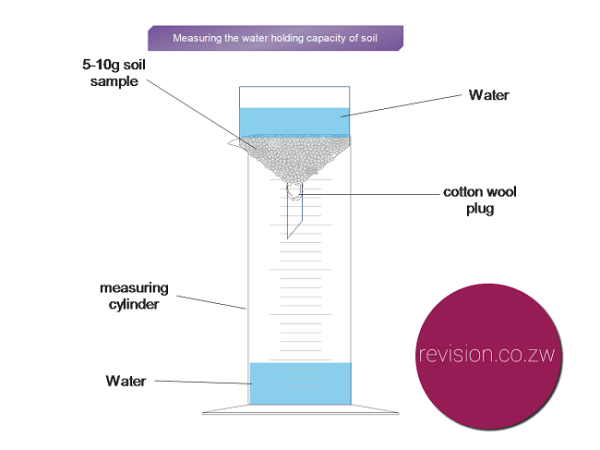 experiment-comparing-the-water-holding-capacity-of-the-soil-free